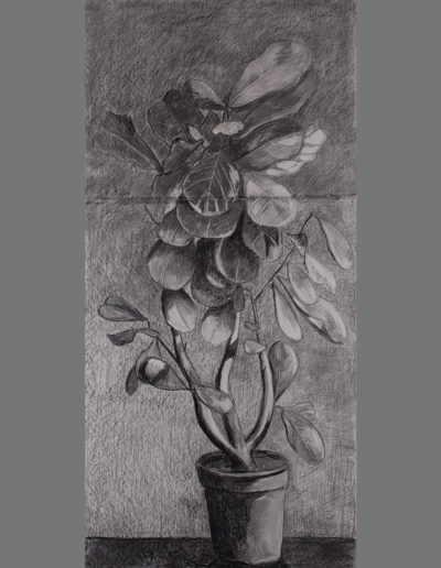 Charcoal on paper, 80 cm x 170 cm